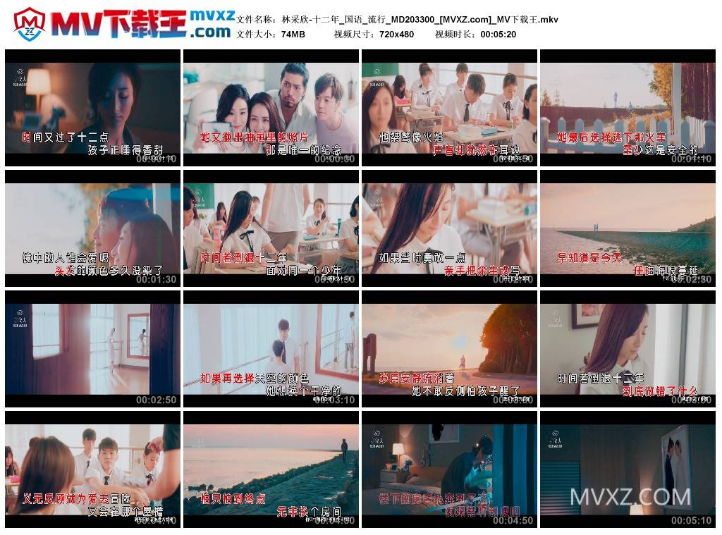 林采欣-十二年_国语_流行_MD203300